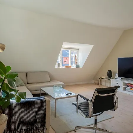 Bright And Spacious Penthouse In * Kodaň